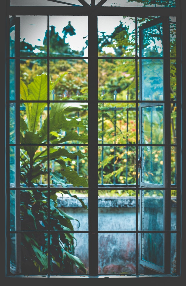 window